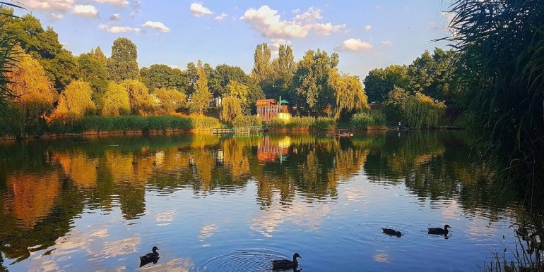 resize_Képernyőkép 2025-12-02 184338